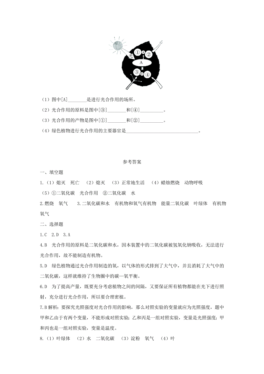 七年级生物上册 第三单元 生物圈中的绿色植物 第五章 第一节 光合作用吸收二氧化碳释放氧气习题1（新版）新人教版.doc_第3页