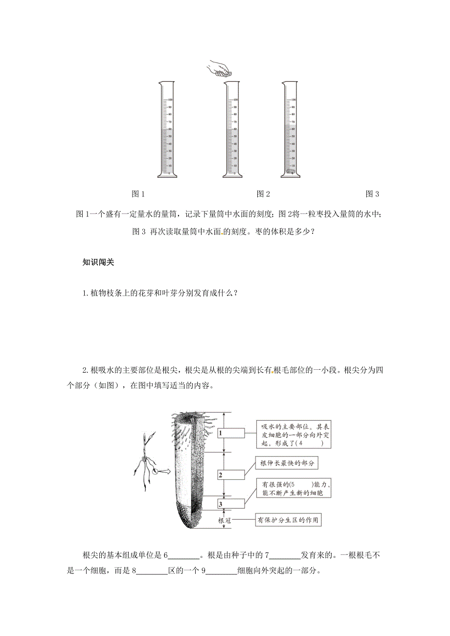 七年级生物上册 第三单元 生物圈中的绿色植物 第二章 被子植物的一生 第二节植株的生长习题（无答案）（新版）新人教版.doc_第2页