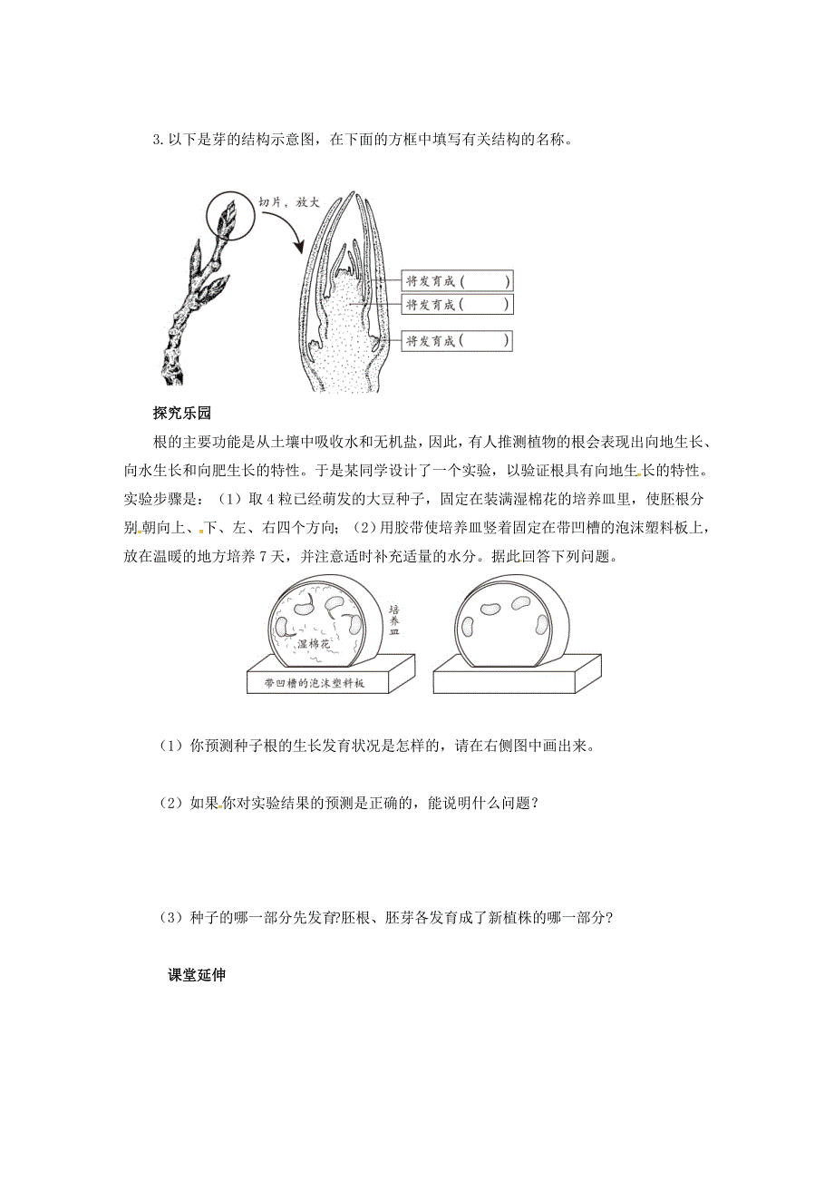 七年级生物上册 第三单元 生物圈中的绿色植物 第二章 被子植物的一生 第二节植株的生长习题（无答案）（新版）新人教版.doc_第3页