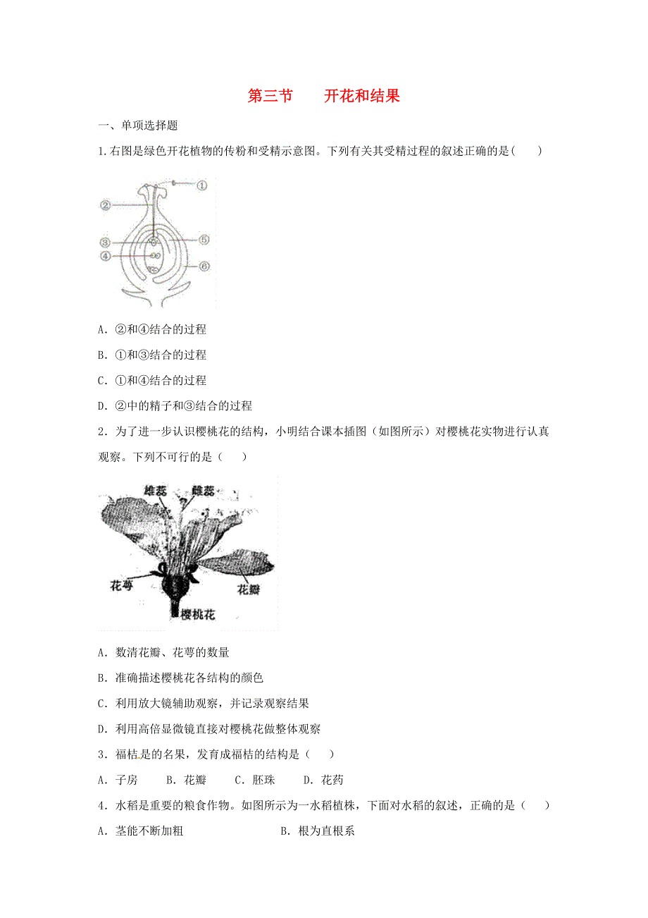 七年级生物上册 第三单元 生物圈中的绿色植物 第二章 被子植物的一生 第三节开花和结果习题4（新版）新人教版.doc_第1页