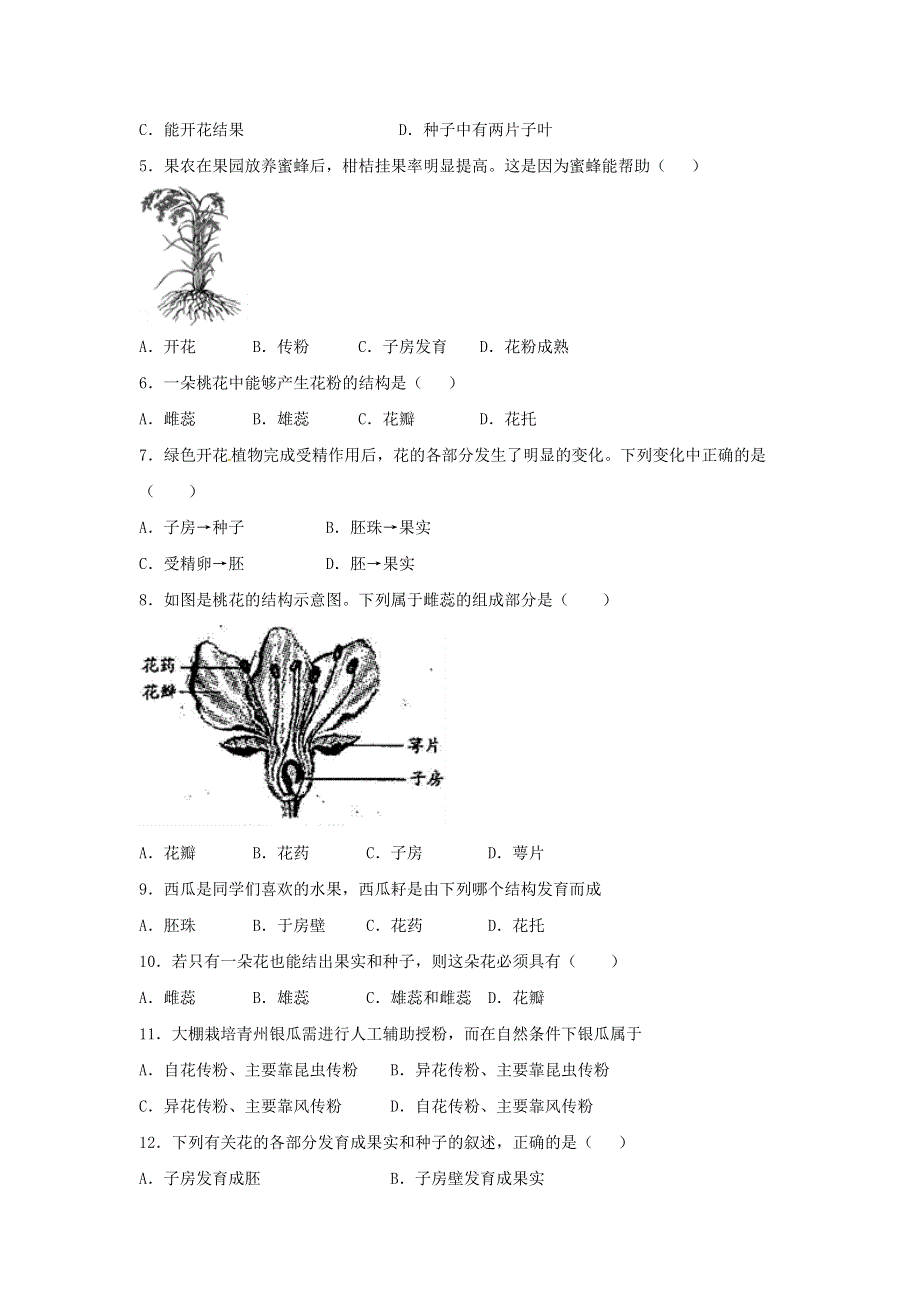 七年级生物上册 第三单元 生物圈中的绿色植物 第二章 被子植物的一生 第三节开花和结果习题4（新版）新人教版.doc_第2页