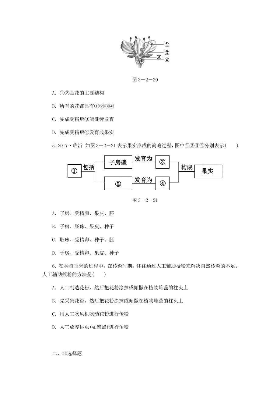 七年级生物上册 第三单元 生物圈中的绿色植物 第二章 被子植物的一生 第三节开花和结果习题3（新版）新人教版.doc_第2页