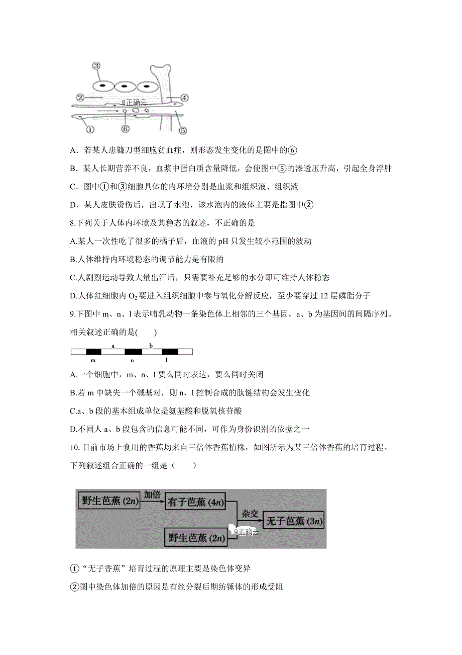 云南省曲靖会泽县第一中学2019-2020学年高二上学期9月月考生物 WORD版含答案.doc_第2页