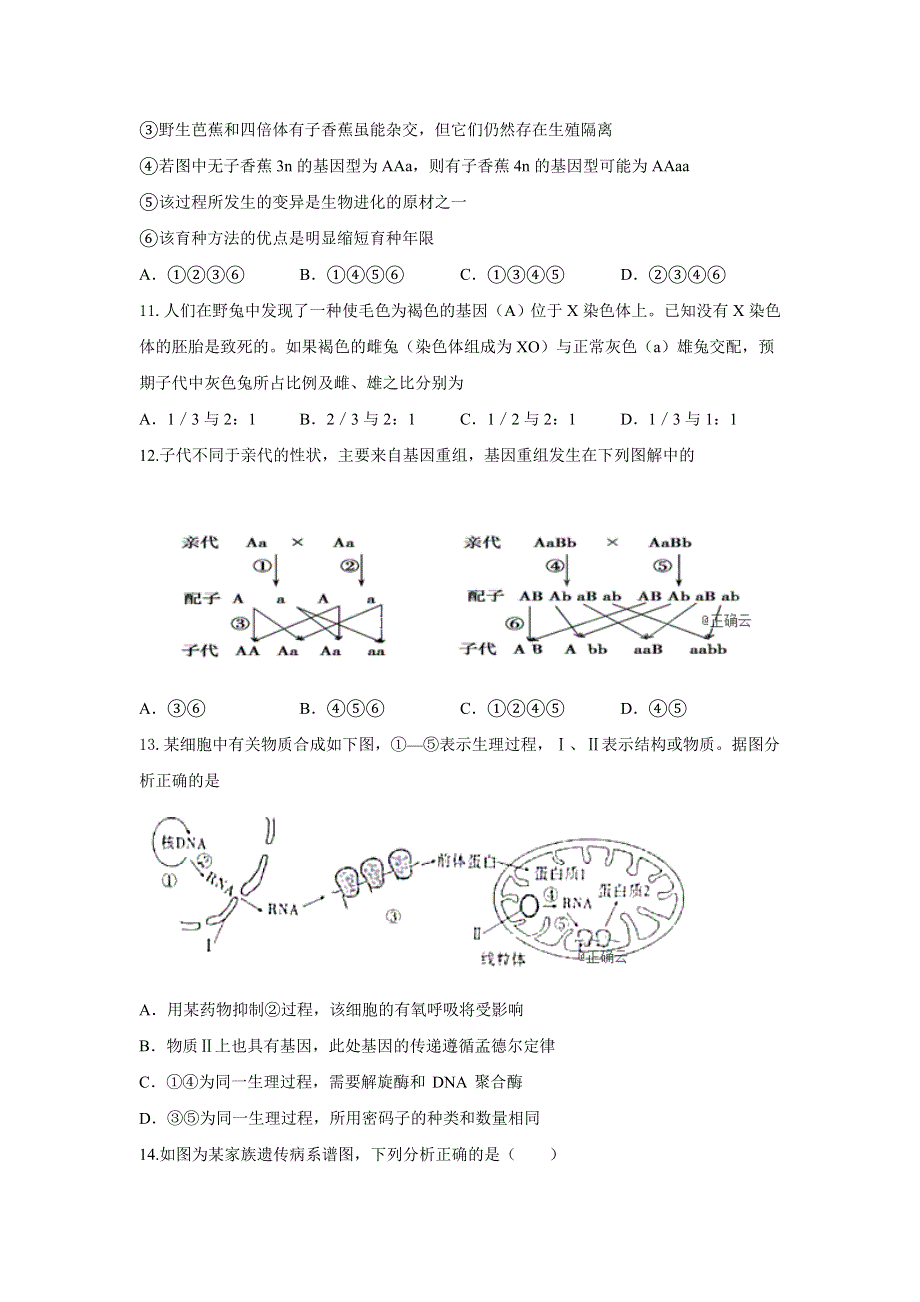 云南省曲靖会泽县第一中学2019-2020学年高二上学期9月月考生物 WORD版含答案.doc_第3页