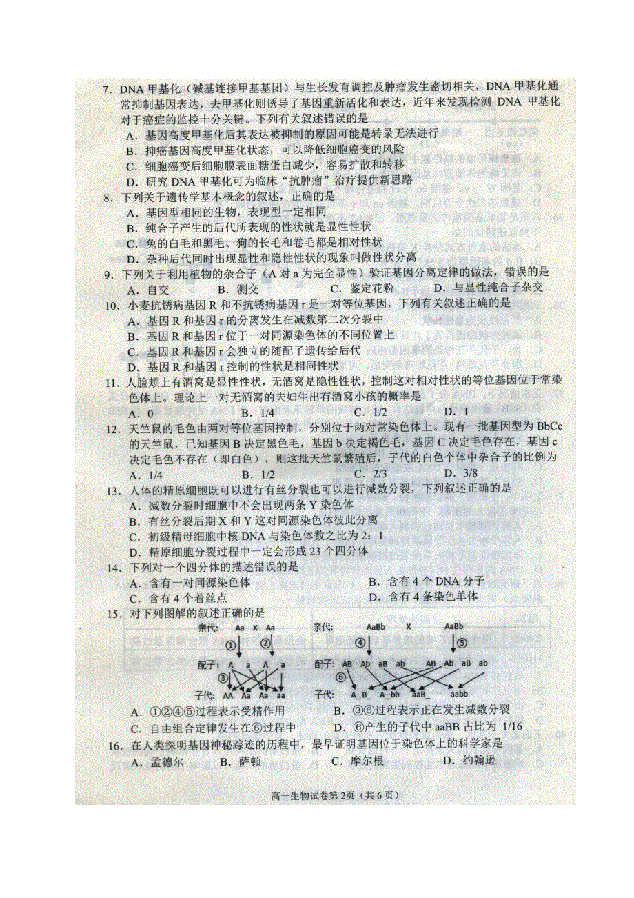 四川省南充市2020-2021学年高一生物下学期期末教学质量检测试题（扫描版）.doc_第2页