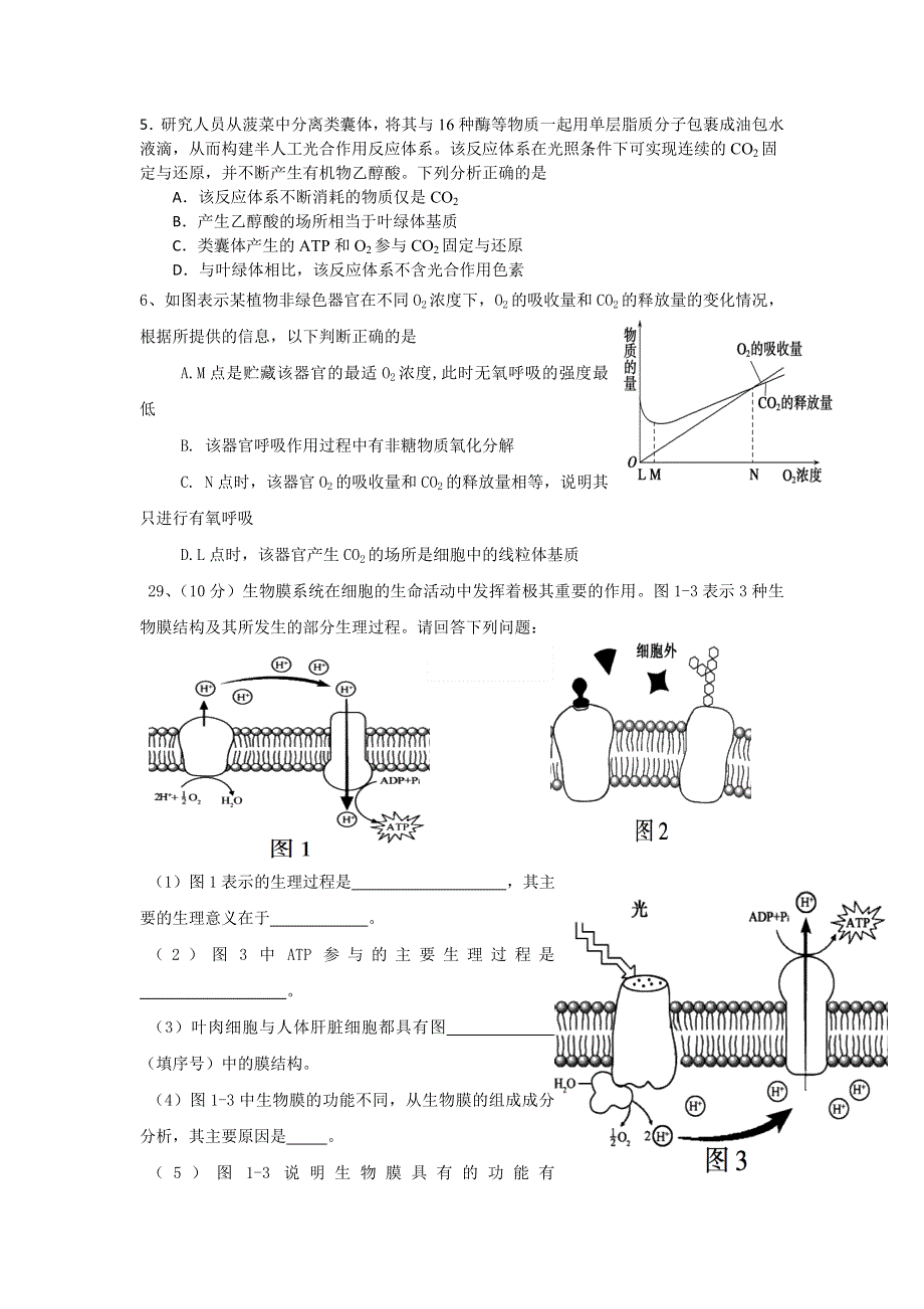 四川省南充市白塔中学2021届高三上学期第一次月考（开学摸底）理综-生物试题 WORD版含答案.doc_第2页