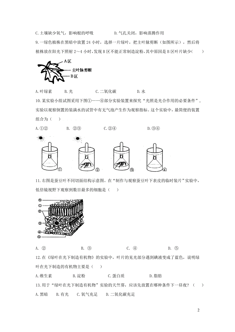 七年级生物上册 第三单元 生物圈中的绿色植物 第四章 绿色植物是生物圈中有机物的制造者习题5（新版）新人教版.doc_第2页