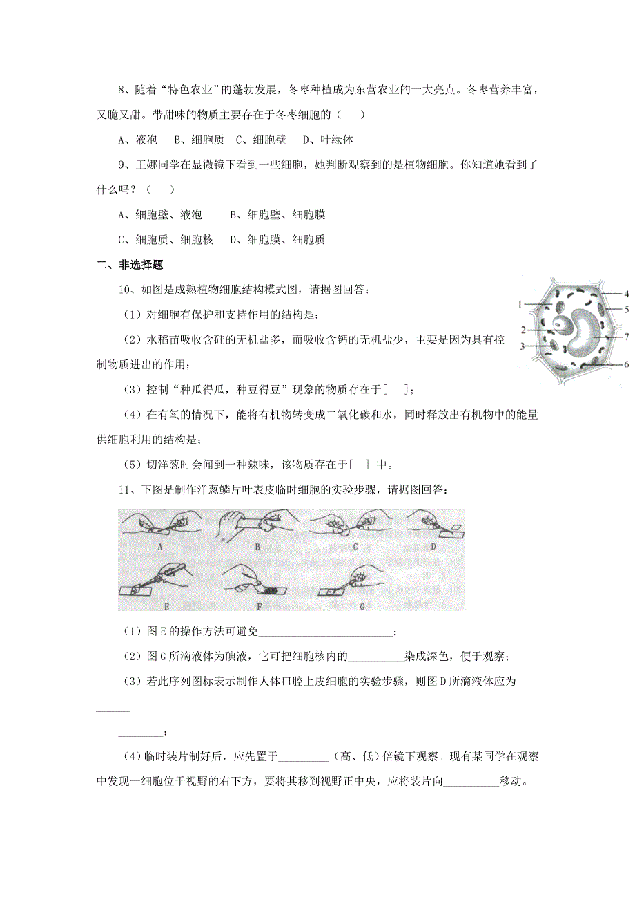 七年级生物上册 第二单元 生物体的结构层次 第一章 细胞是生命活动的基本单位第二节 植物细胞习题3（新版）新人教版.doc_第2页