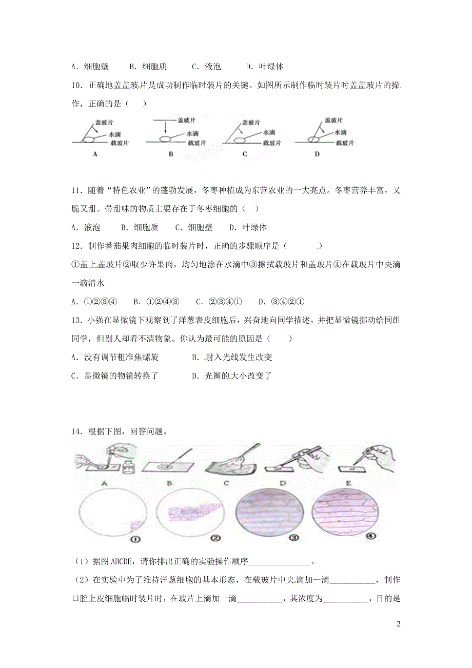 七年级生物上册 第二单元 生物体的结构层次 第一章 细胞是生命活动的基本单位第二节 植物细胞习题6（新版）新人教版.doc_第2页