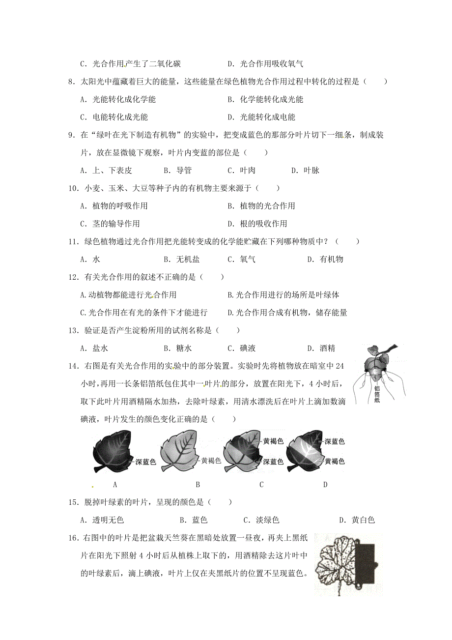 七年级生物上册 第三单元 生物圈中的绿色植物 第四章 绿色植物是生物圈中有机物的制造者习题2（新版）新人教版.doc_第2页