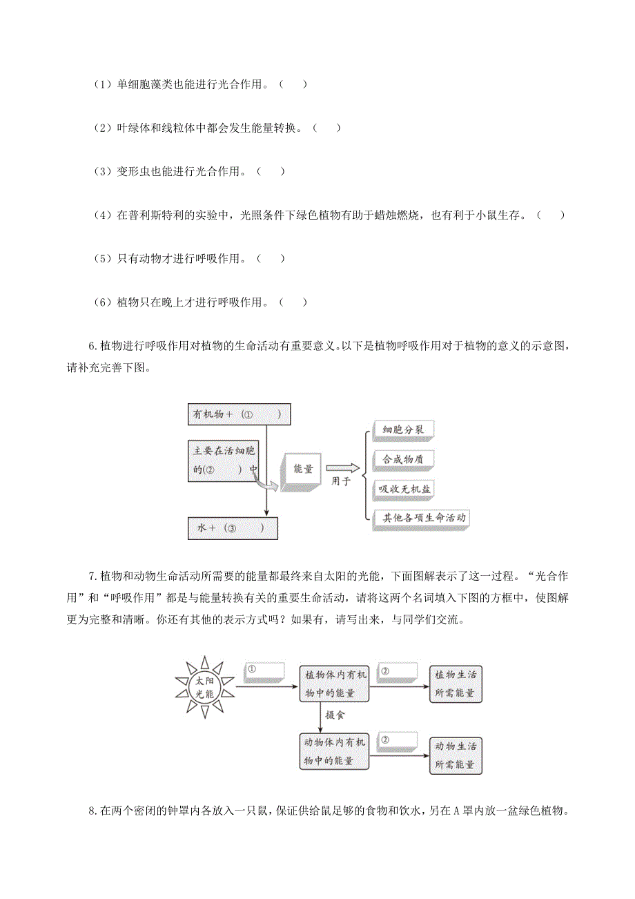 七年级生物上册 第三单元 生物圈中的绿色植物 第四章 绿色植物是生物圈中有机物的制造者习题1（新版）新人教版.doc_第2页