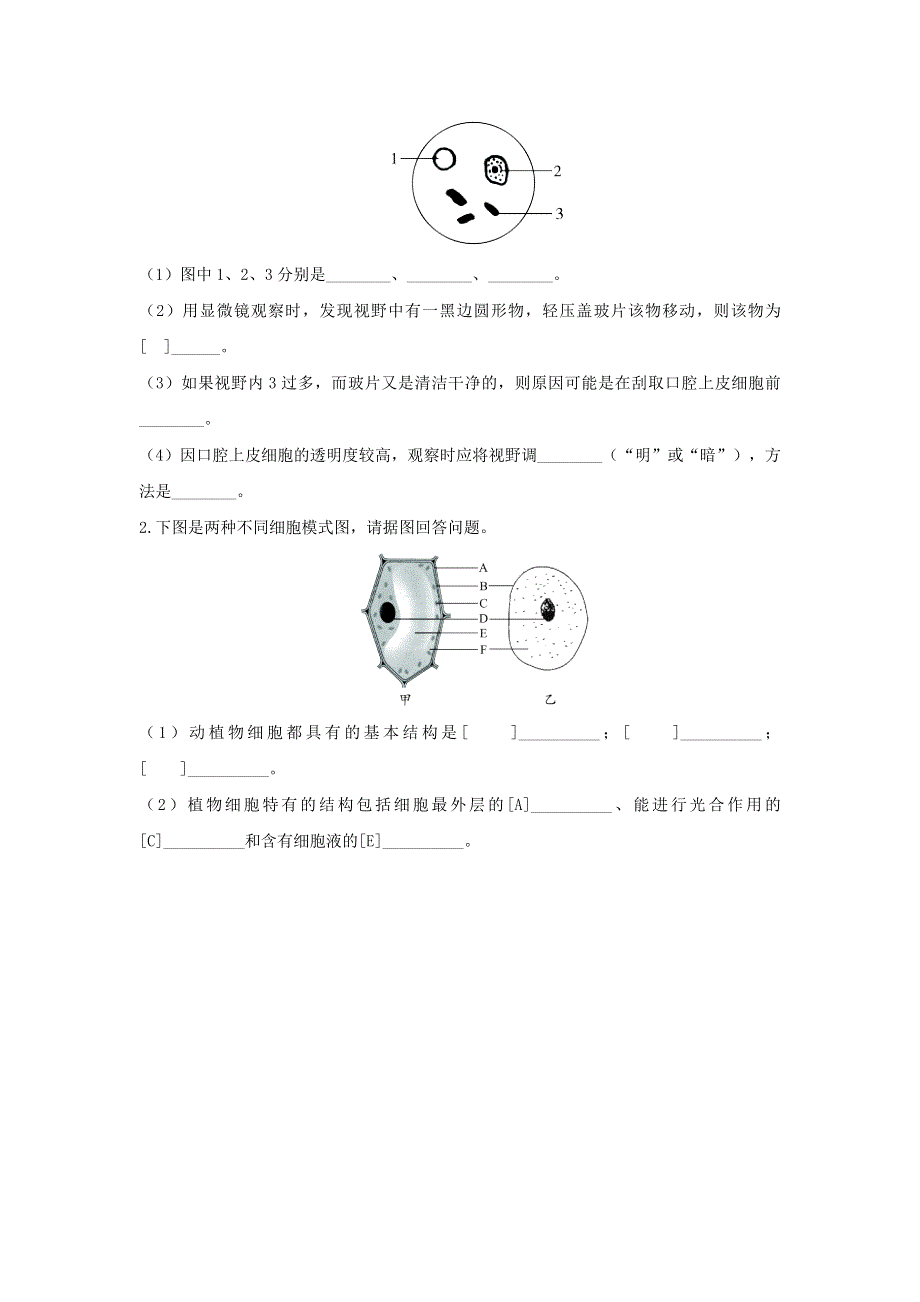 七年级生物上册 第二单元 生物体的结构层次 第一章 细胞是生命活动的基本单位第三节 动物细胞习题4（新版）新人教版.doc_第2页