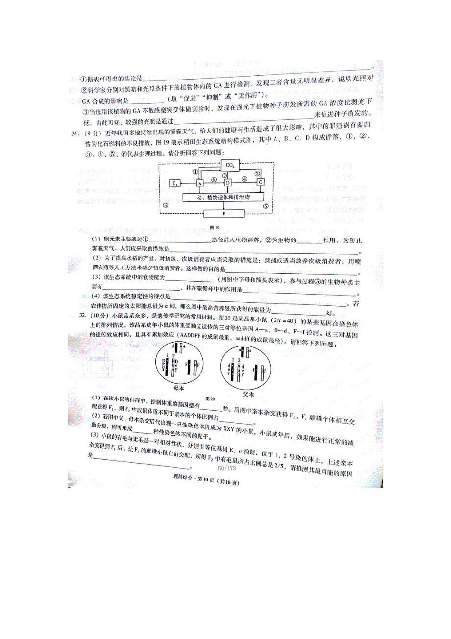 云南省曲靖市第一中学2016届高考复习质量监测卷（七）理科综合生物试题 扫描版含答案.doc_第3页