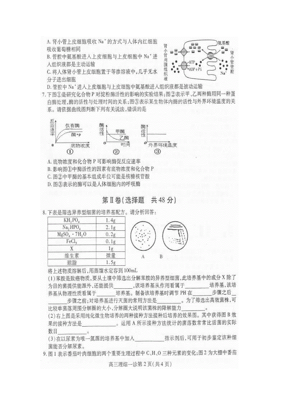 四川省南充市高2015届第一次高考适应性考试生物试题 扫描版含答案.doc_第2页