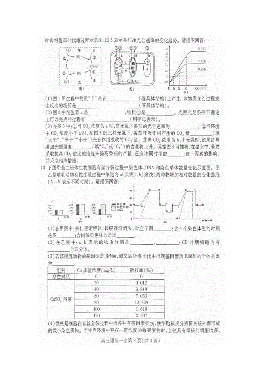 四川省南充市高2015届第一次高考适应性考试生物试题 扫描版含答案.doc_第3页