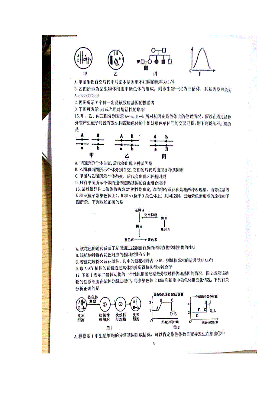 云南省曲靖市第一中学2017届高三上学期第四次半月考生物试题 扫描版含答案.doc_第3页