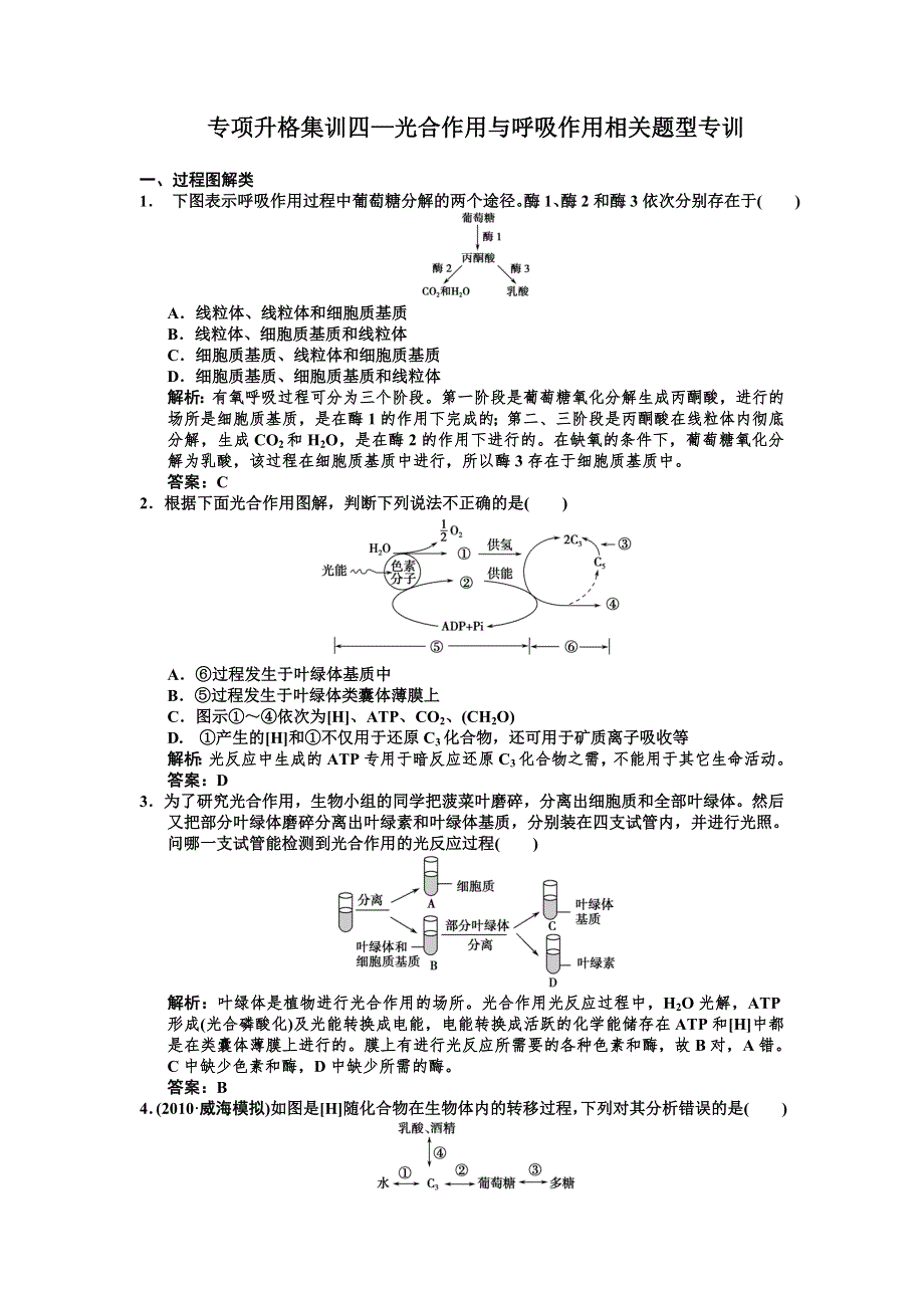 2011届高考生物一轮复习专项集训4：光合作用与呼吸作用相关题型专训.doc_第1页