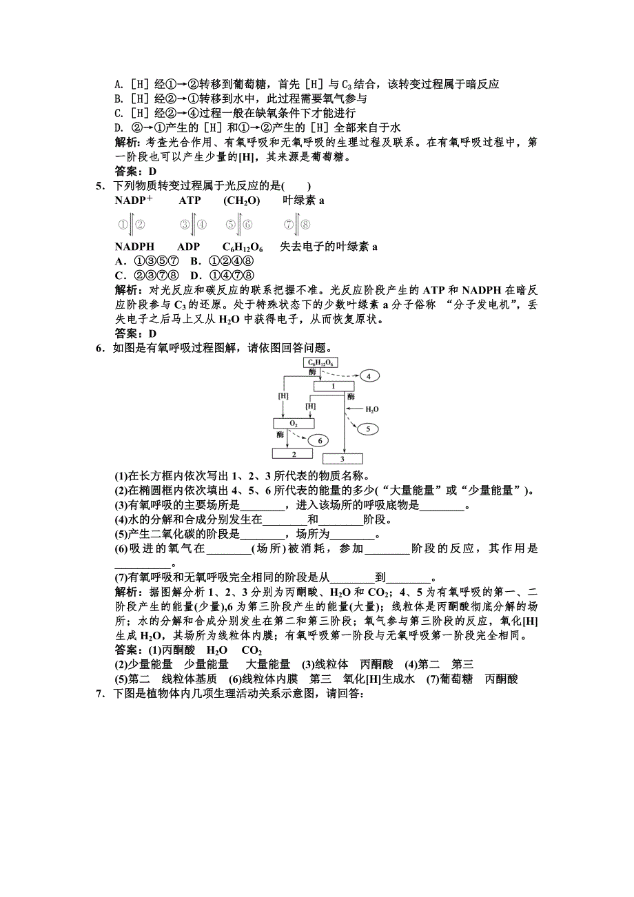 2011届高考生物一轮复习专项集训4：光合作用与呼吸作用相关题型专训.doc_第2页