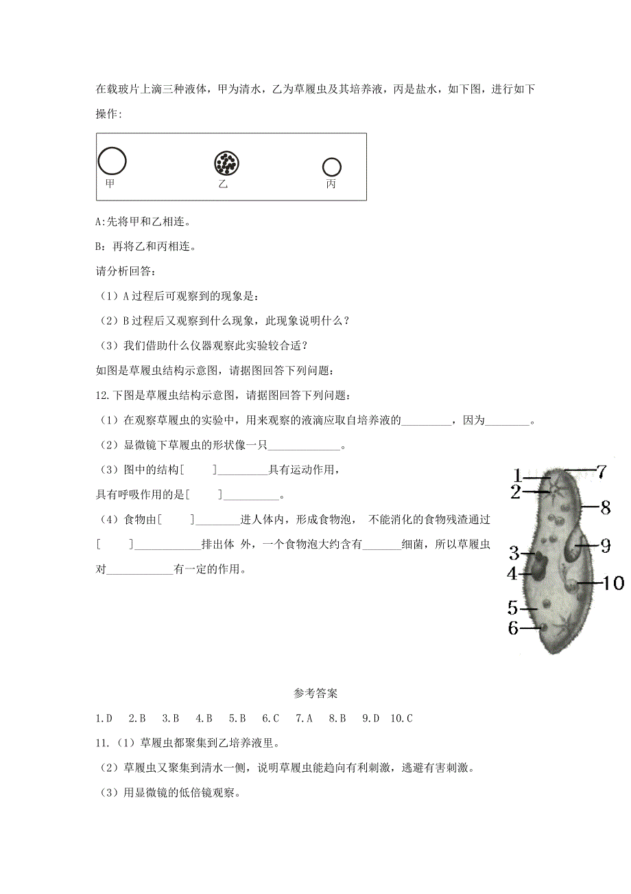 七年级生物上册 第二单元 生物体的结构层次 第二章 细胞怎样构成生物体第四节 单细胞生物习题5（新版）新人教版.doc_第2页