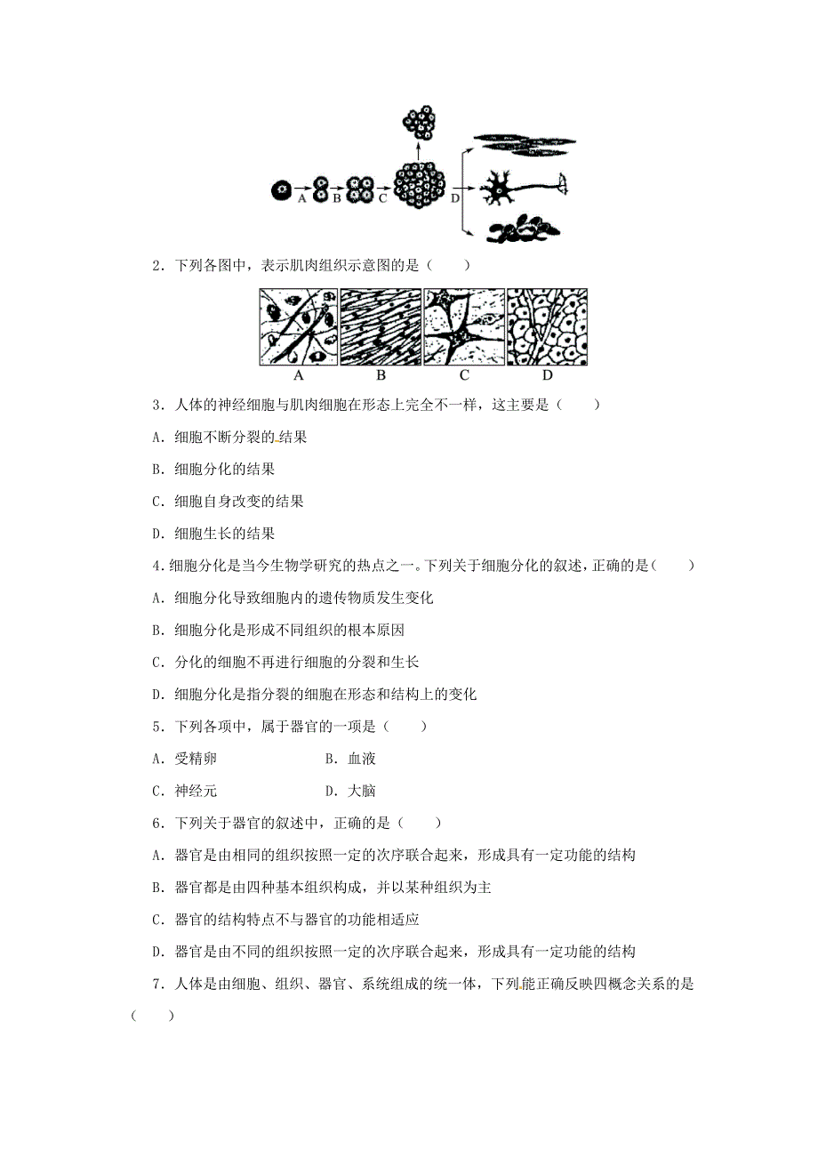 七年级生物上册 第二单元 生物体的结构层次 第二章 细胞怎样构成生物体第二节 动物体的结构层次习题4（新版）新人教版.doc_第3页