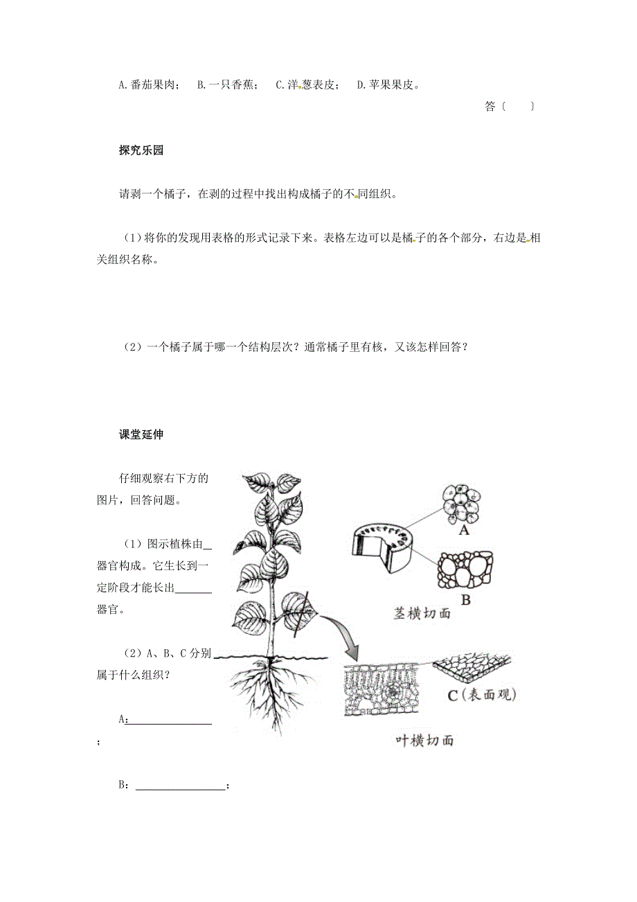 七年级生物上册 第二单元 生物体的结构层次 第二章 细胞怎样构成生物体第三节 植物体的结构层次习题1（新版）新人教版.doc_第2页