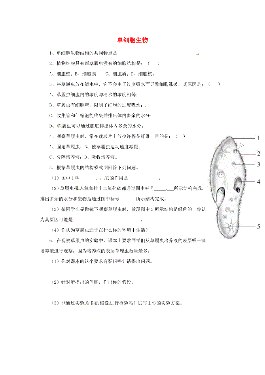 七年级生物上册 第二单元 生物体的结构层次 第二章 细胞怎样构成生物体第四节 单细胞生物习题4（新版）新人教版.doc_第1页