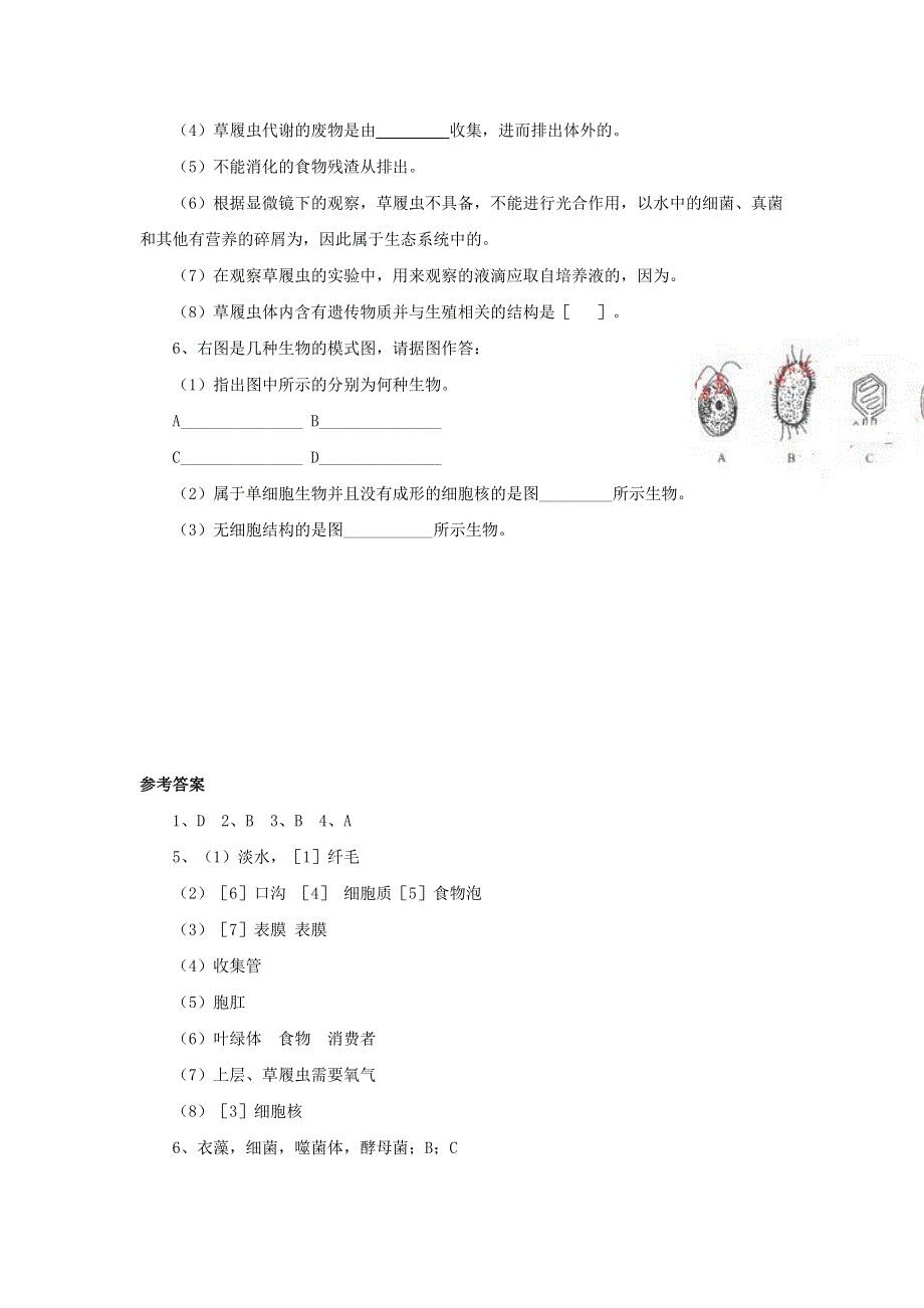 七年级生物上册 第二单元 生物体的结构层次 第二章 细胞怎样构成生物体第四节 单细胞生物习题1（新版）新人教版.doc_第2页