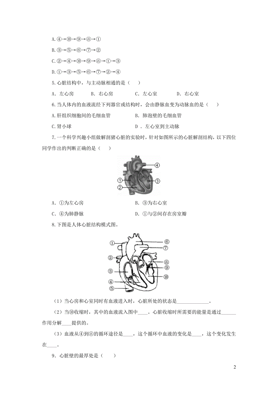 七年级生物下册 4.4.3输送血液的泵练习 （新版）新人教版.doc_第2页