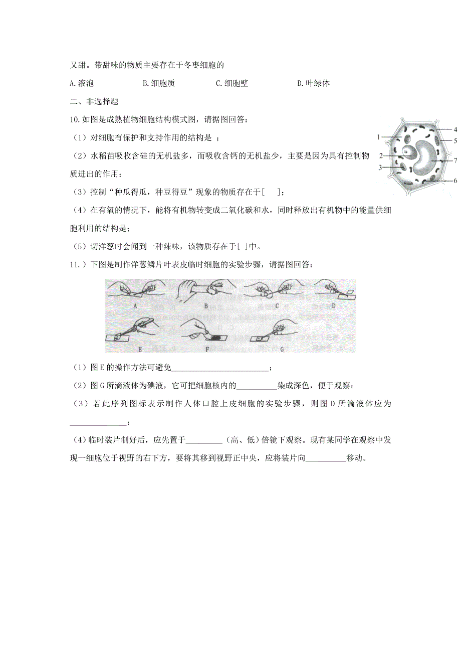 七年级生物上册 第二单元 生物体的结构层次 第一章 细胞是生命活动的基本单位第二节 植物细胞习题（新版）新人教版.doc_第2页