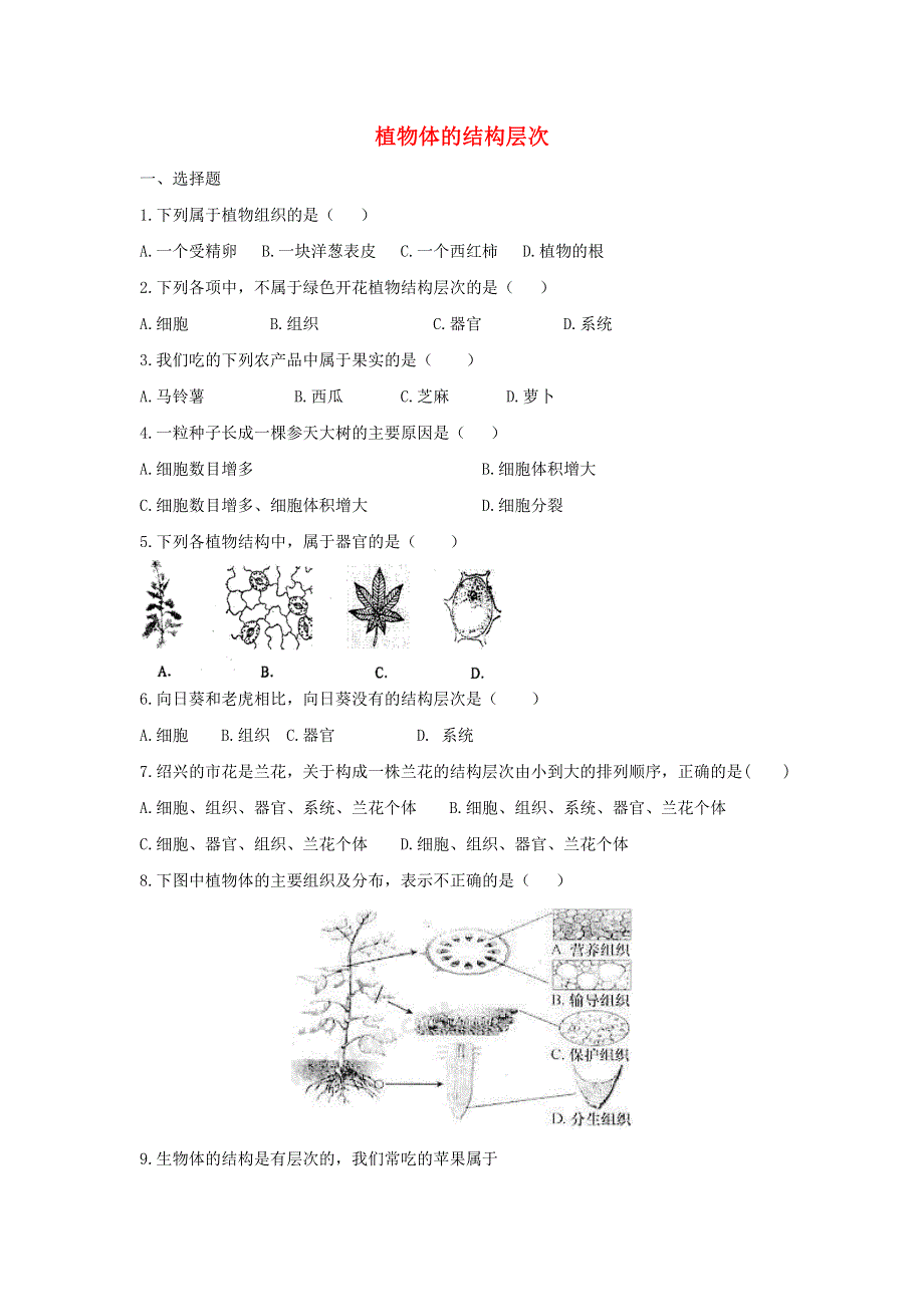 七年级生物上册 第二单元 生物体的结构层次 第二章 细胞怎样构成生物体第三节 植物体的结构层次习题4（新版）新人教版.doc_第1页