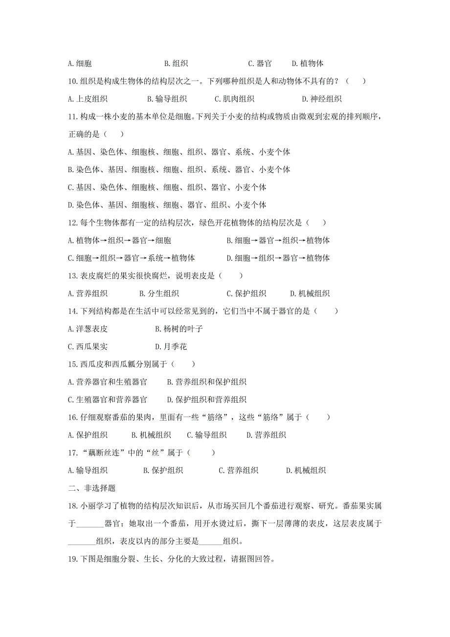 七年级生物上册 第二单元 生物体的结构层次 第二章 细胞怎样构成生物体第三节 植物体的结构层次习题4（新版）新人教版.doc_第2页