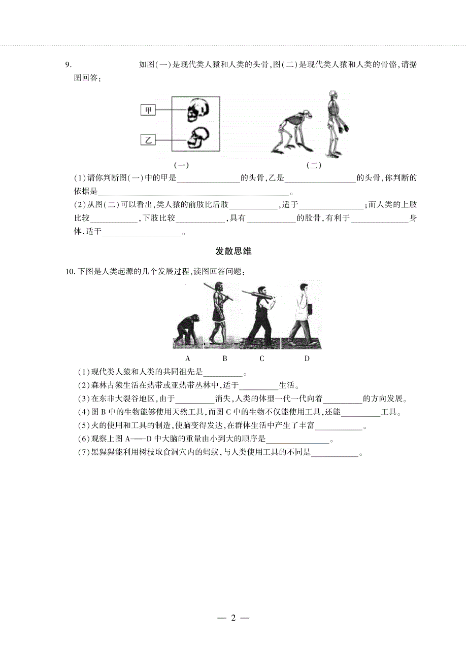 七年级生物下册 第四单元 生物圈中的人 第一章 人的由来 第一节 人的起源和发展同步作业（pdf无答案）（新版）新人教版.pdf_第2页