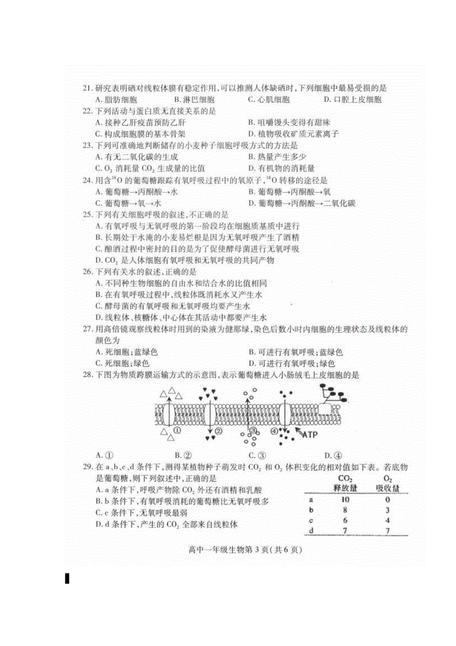 四川省南充市2015-2016学年高一上学期期末考试生物试题 扫描版含答案.doc_第3页