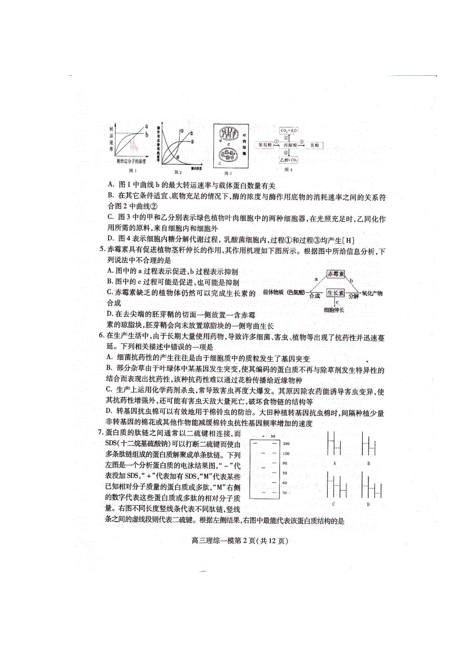 四川省南充市2013届高三第一次高考适应性考试生物试题 扫描版含答案.doc_第2页