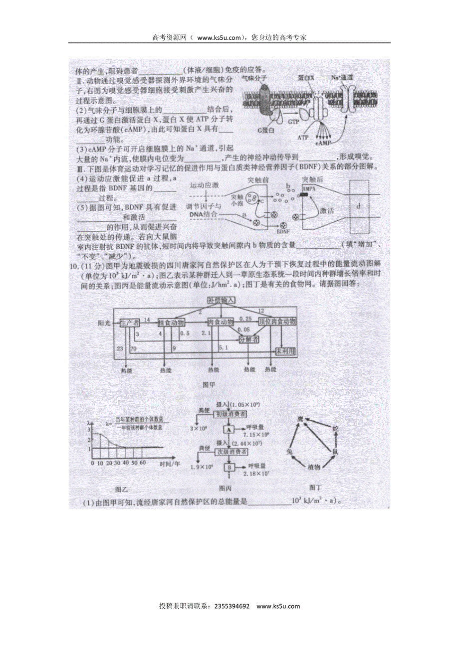 四川省南充市2016届高三二诊理综生物试题 扫描版无答案.doc_第3页