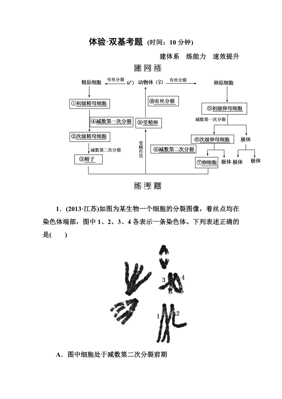 《名师一号》2015届高考生物（人教版通用）总复习体验双基考题：第14讲　减数分裂与受精作用.doc_第1页