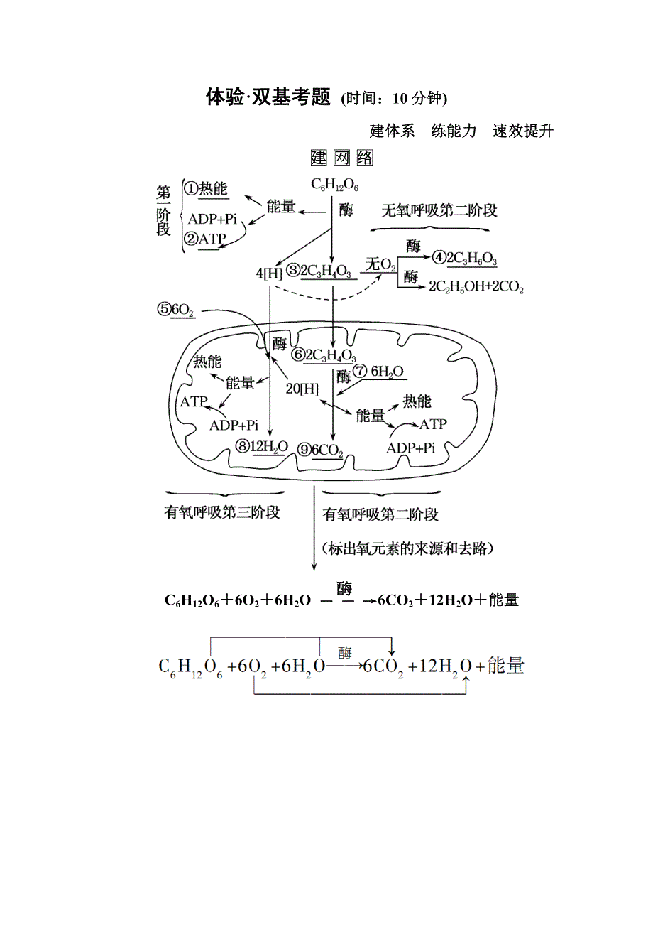 《名师一号》2015届高考生物（人教版通用）总复习体验双基考题：第10讲　ATP的主要来源——细胞呼吸.doc_第1页