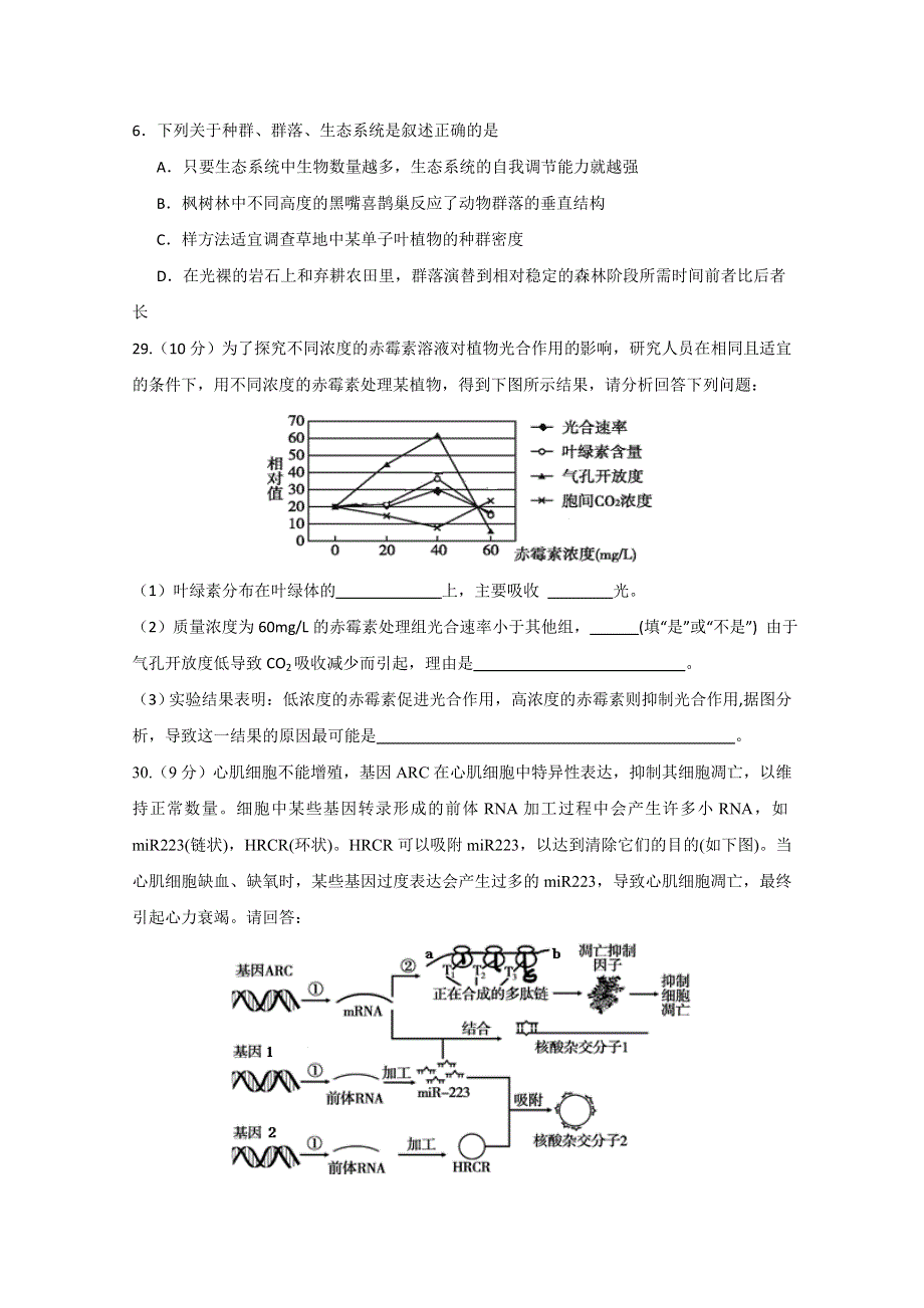 四川省南充高中2020届高三4月月考生物试题 WORD版含答案.doc_第2页