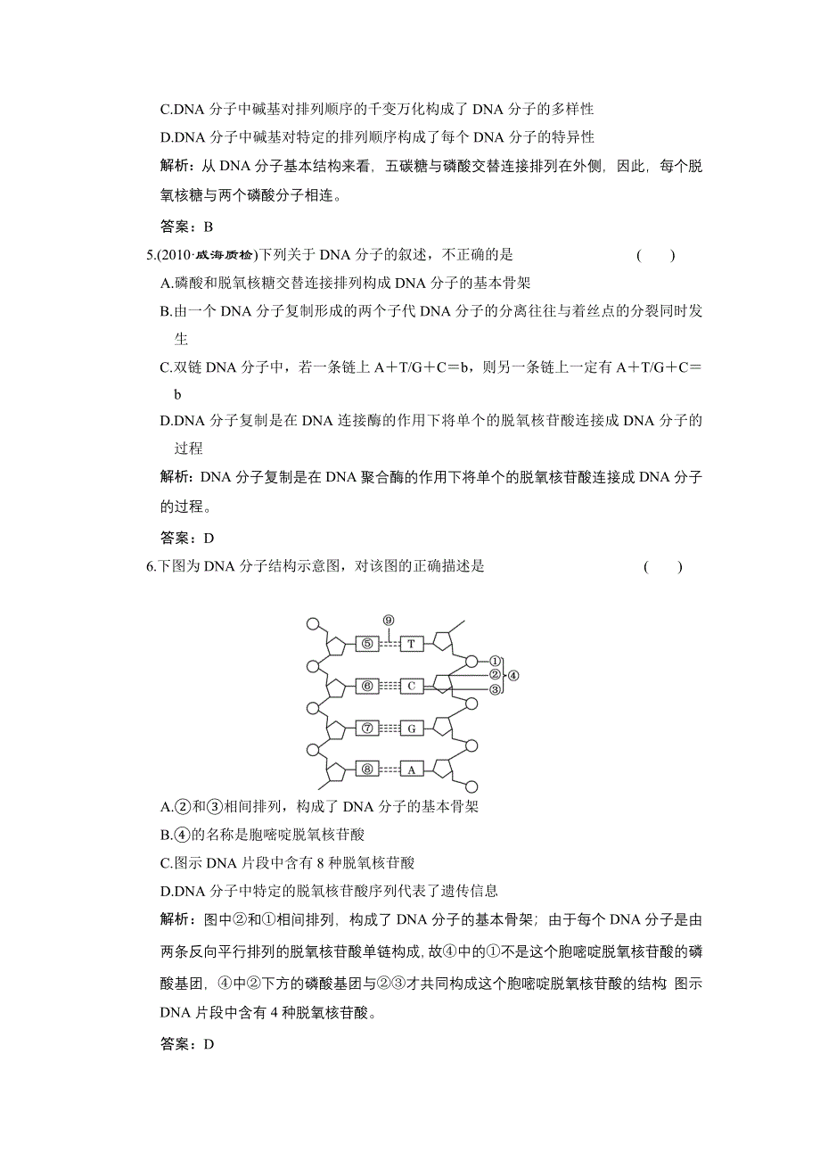 2011山东高考生物一轮复习同步课时作业：6.1.2 DNA分子的结构和复制.doc_第2页