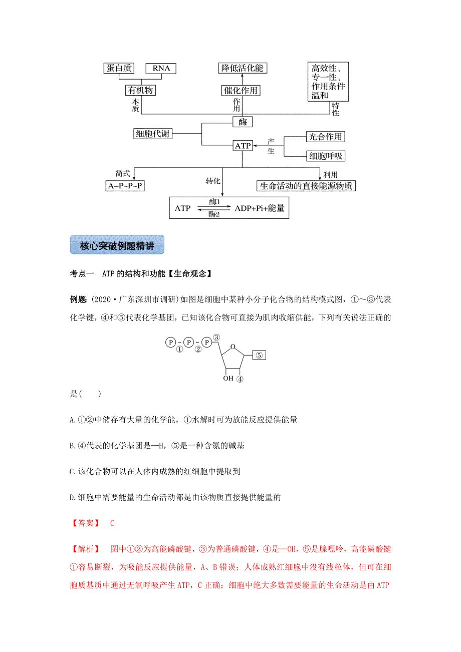 2020-2021学年高考生物一轮复习 专题07 ATP和酶知识点讲解（含解析）.docx_第2页