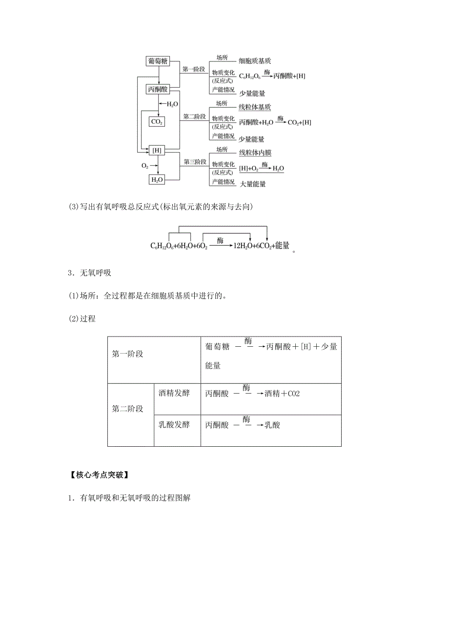 2020-2021学年高考生物一轮复习 专题08 细胞呼吸知识点讲解（含解析）.docx_第3页