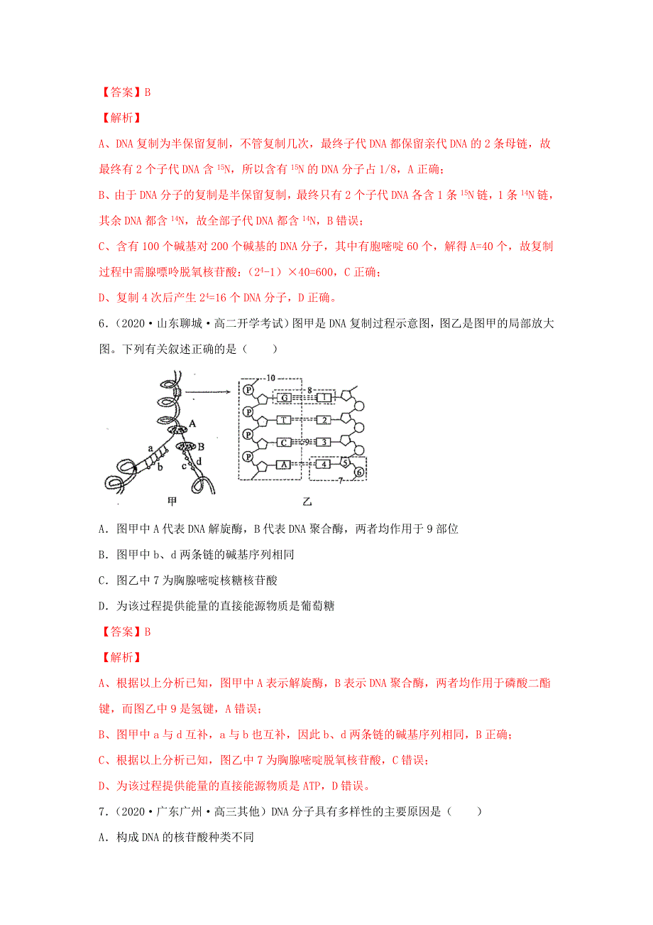 2020-2021学年高考生物一轮复习 专题18 DNA的结构、复制及基因的本质练习（含解析）.docx_第3页