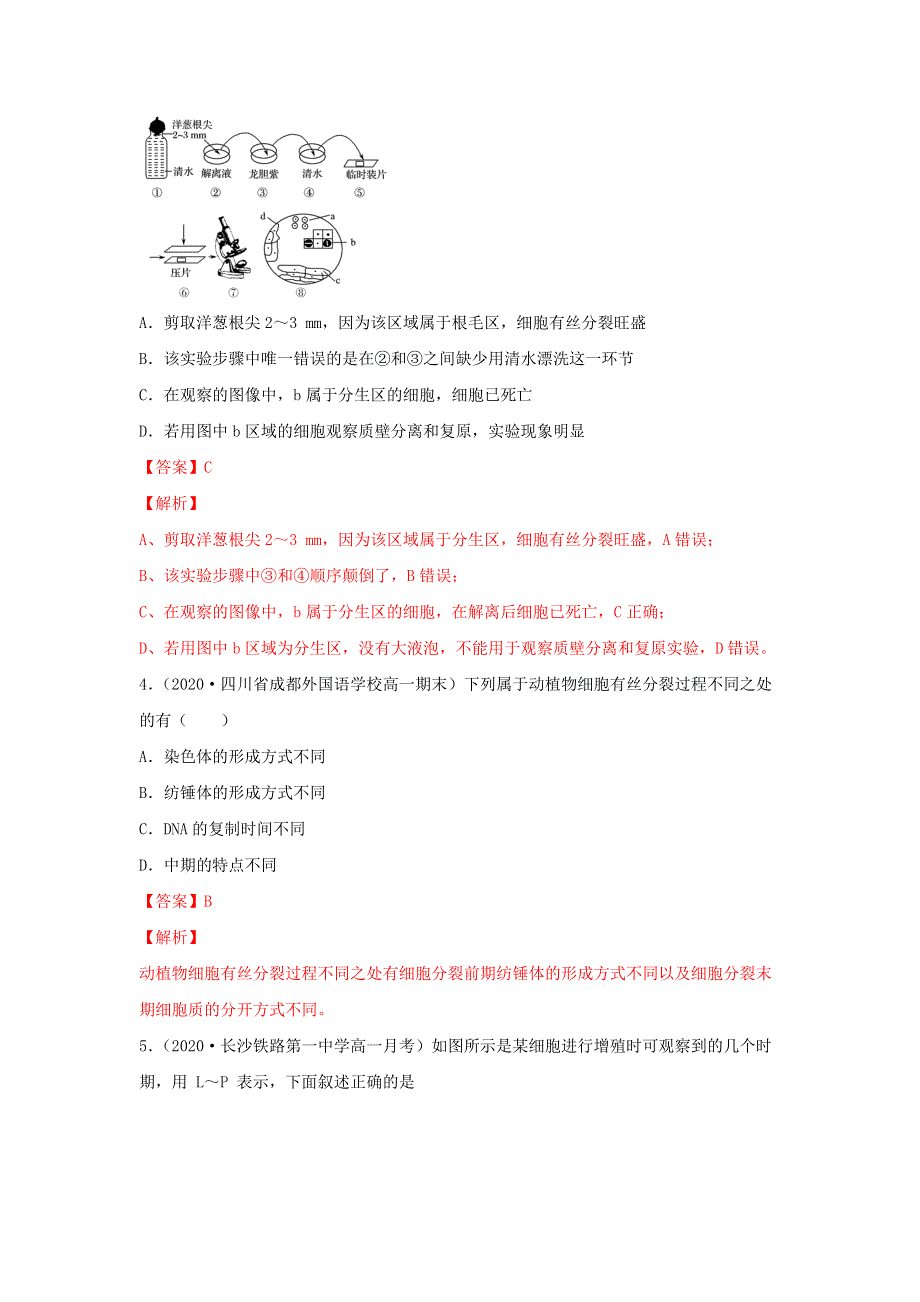 2020-2021学年高考生物一轮复习 专题11 细胞的增殖练习（含解析）.docx_第2页