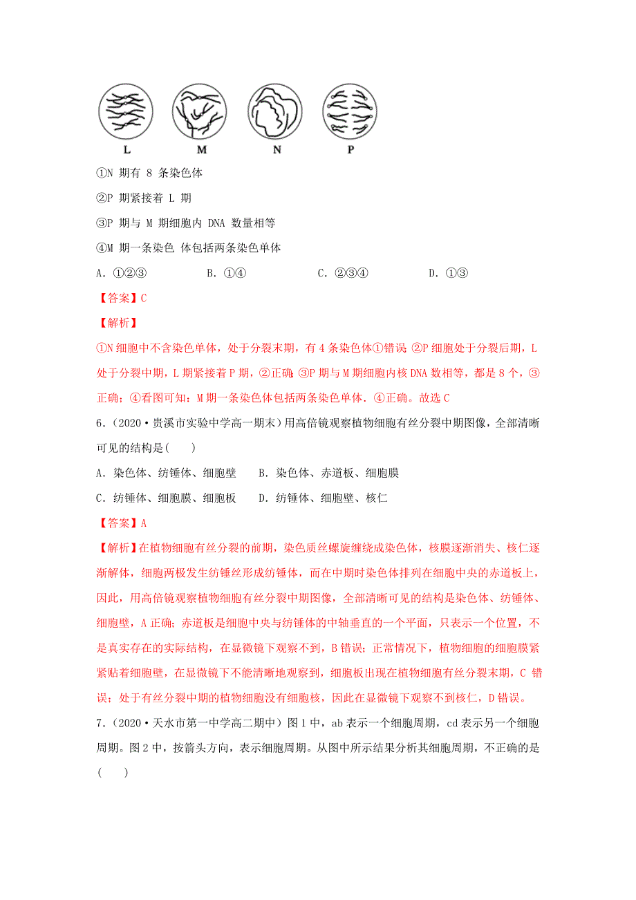 2020-2021学年高考生物一轮复习 专题11 细胞的增殖练习（含解析）.docx_第3页