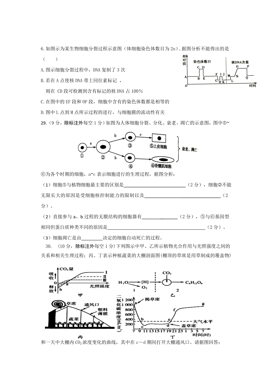 四川省双流中学2017届高三10月月考理科综合-生物试题 WORD版含答案.doc_第2页