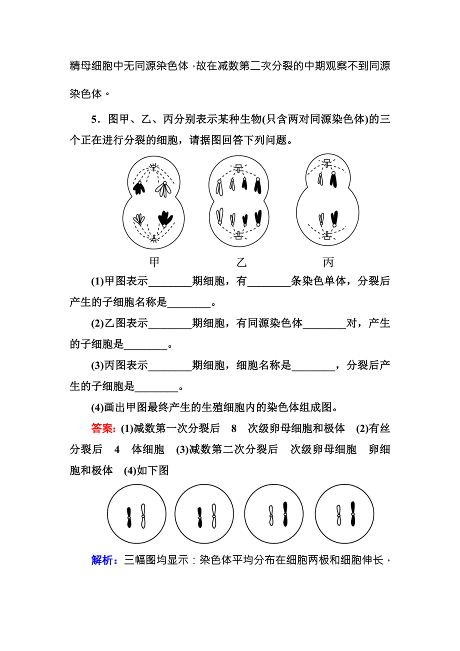 《名师伴你行》2016-2017学年高一生物人教版必修二课堂达标练案：2-1-1减数分裂 WORD版含解析.doc_第3页