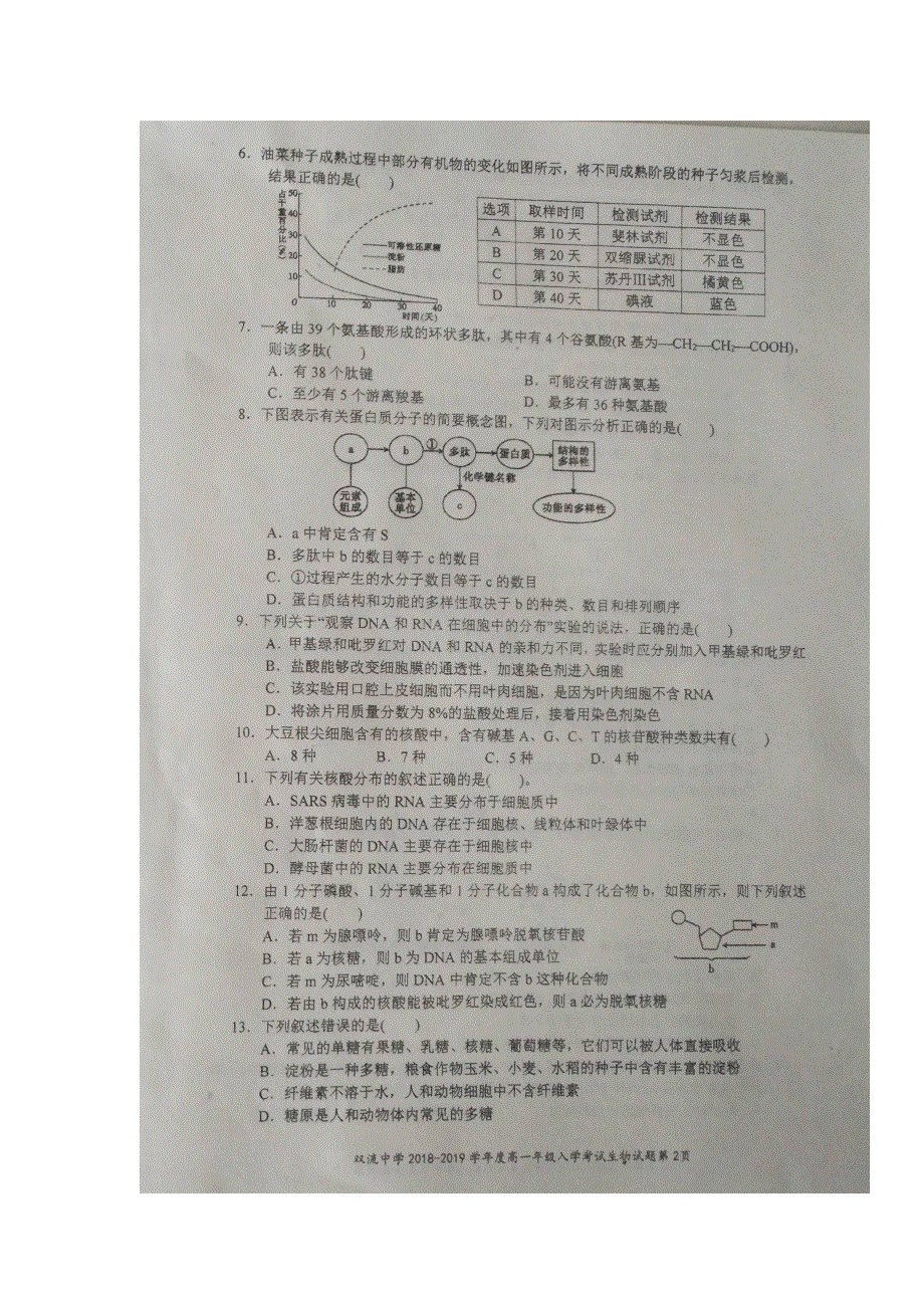 四川省双流中学2018-2019学年高一下学期开学考试生物试题 扫描版含答案.doc_第2页