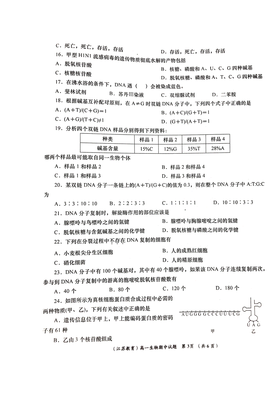 陕西省府谷县麻镇中学2016-2017学年高一下学期期中质量检测生物试题 扫描版含答案.doc_第3页