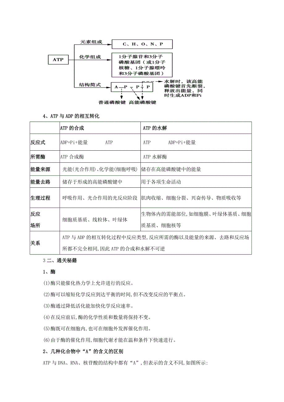 2020-2021年高考生物一轮复习 知识点（上）专题12 酶和ATP（含解析）.docx_第2页