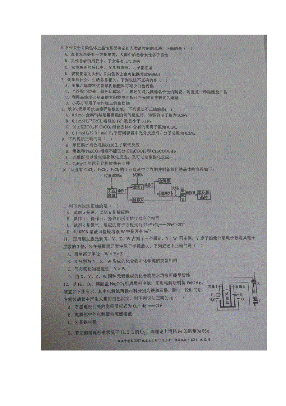 四川省双流中学2020届高三11月考理科综合试题 扫描版含答案.doc_第2页